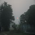 Vraj-Yatra-2014- (1302)